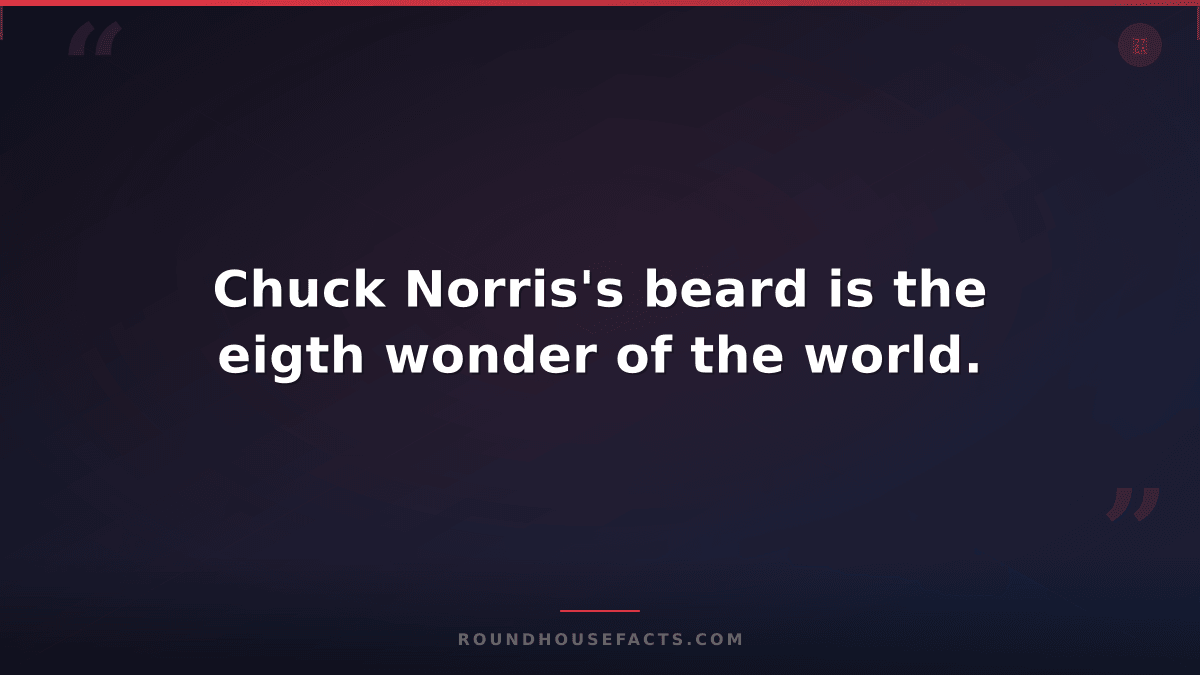 Chuck Norris Fact — Chuck Norris's beard is the eigth wonder of the world.
