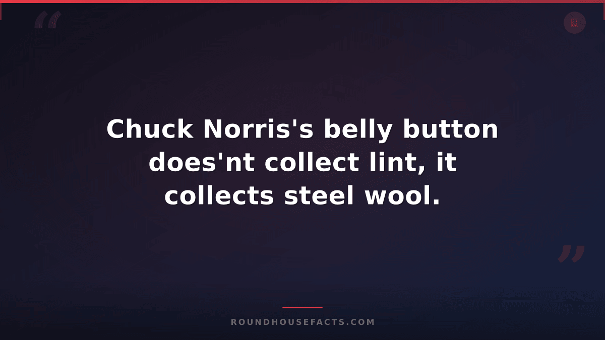 Chuck Norris Fact — Chuck Norris's belly button does'nt collect lint, it collect