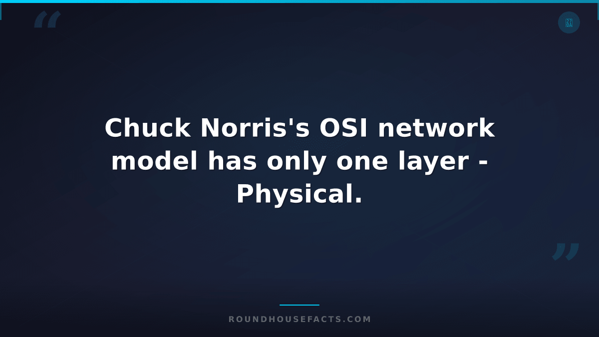 Chuck Norris Fact — Chuck Norris's OSI network model has only one layer - Physic