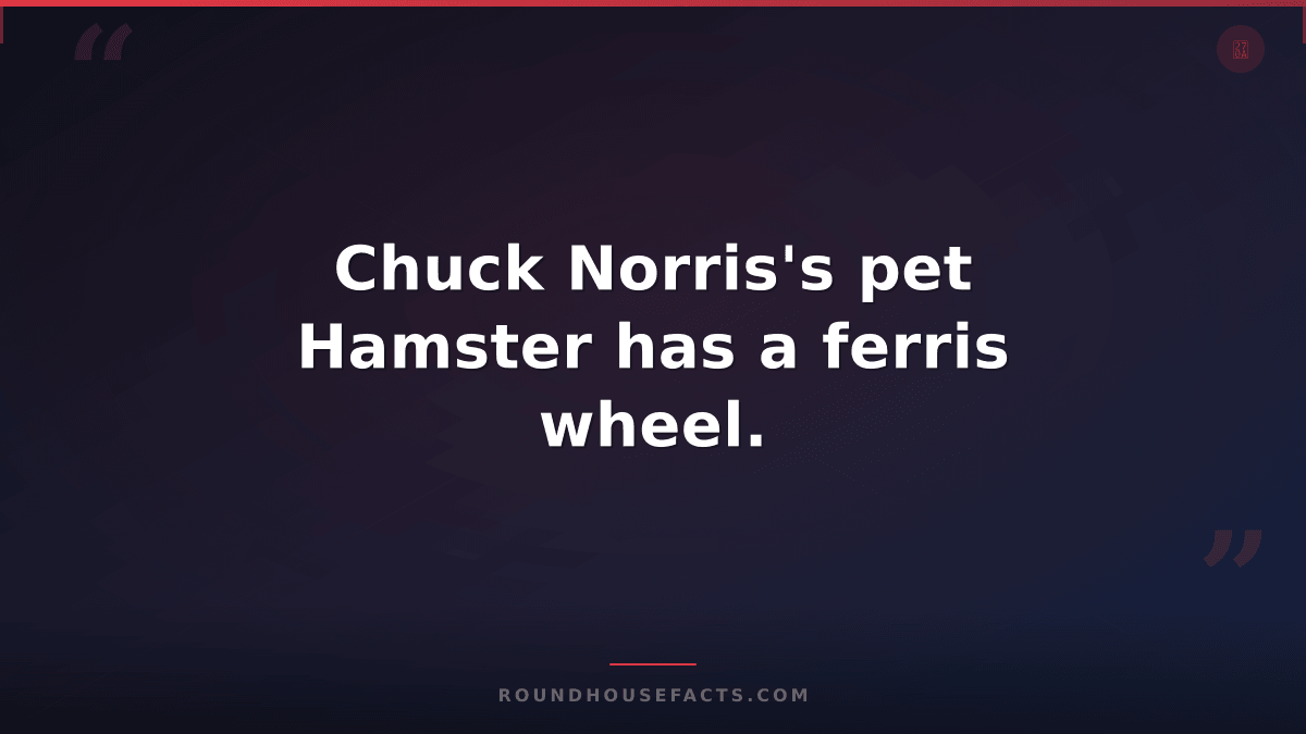 Chuck Norris Fact — Chuck Norris's pet Hamster has a ferris wheel.