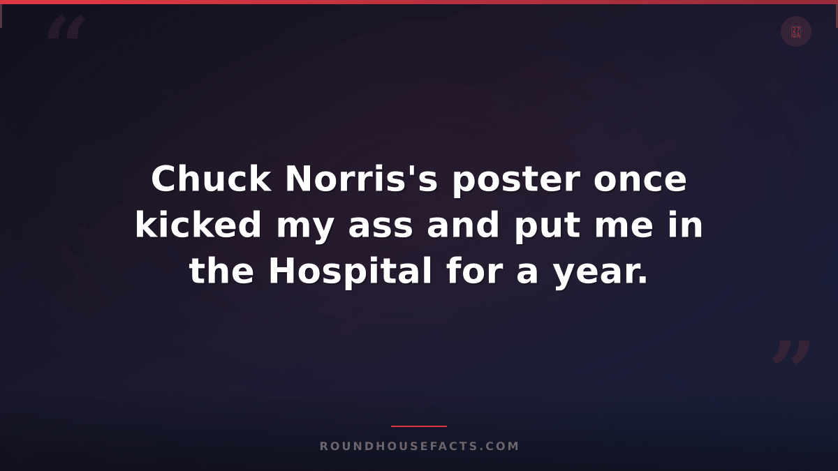 Chuck Norris Fact — Chuck Norris's poster once kicked my ass and put me in the H