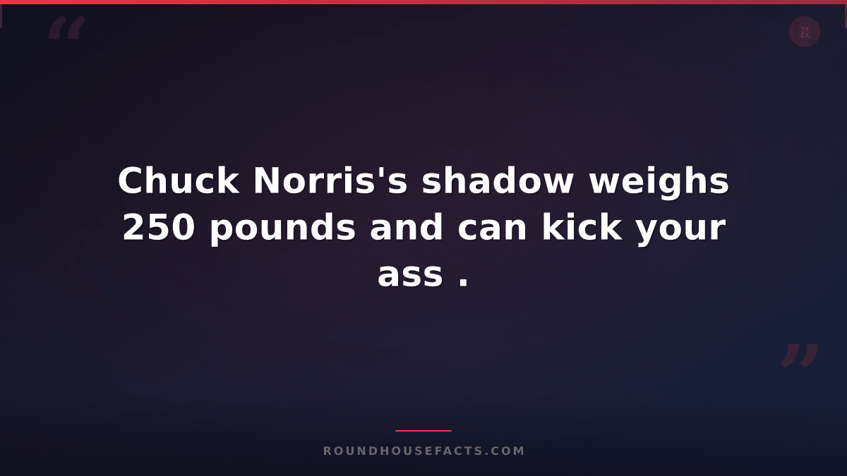 Chuck Norris Fact — Chuck Norris's shadow weighs 250 pounds and can kick your as