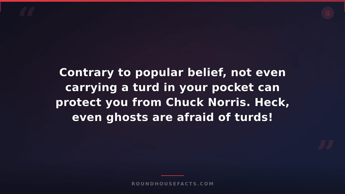 Chuck Norris Fact — Contrary to popular belief, not even carrying a turd in your