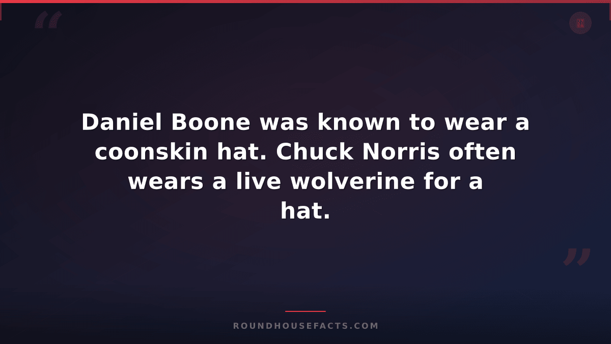 Chuck Norris Fact — Daniel Boone was known to wear a coonskin hat. Chuck Norris
