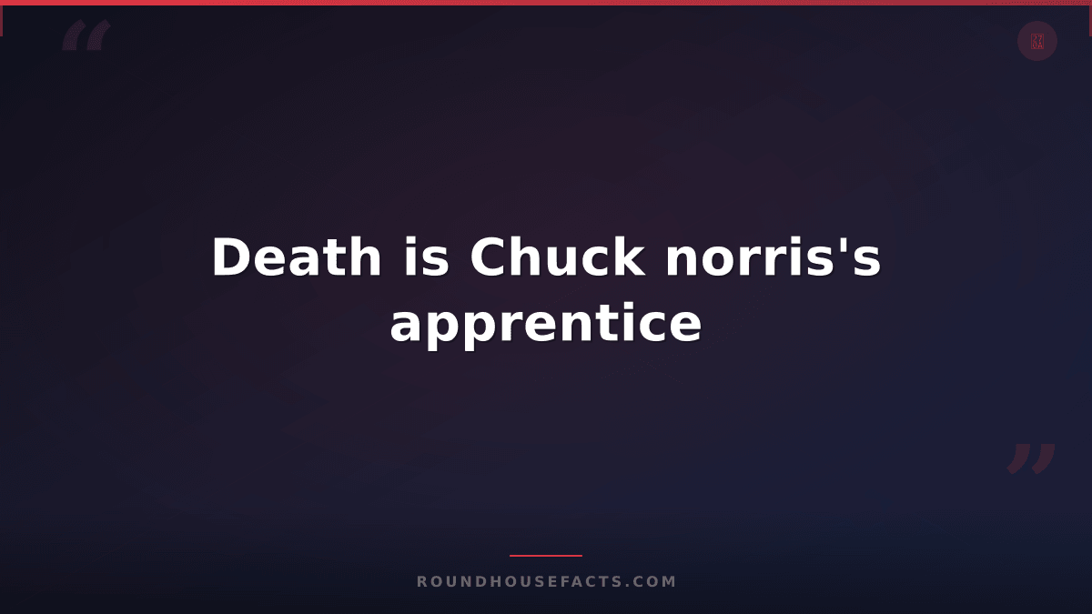 Chuck Norris Fact — Death is Chuck norris's apprentice