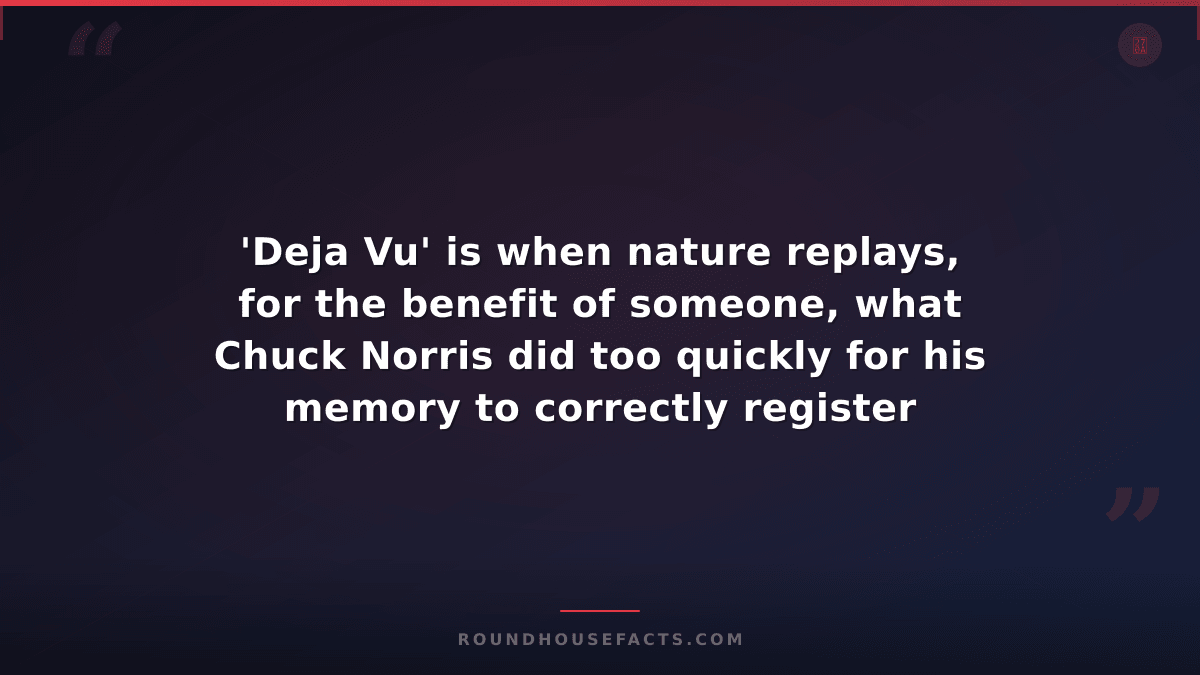 Chuck Norris Fact — 'Deja Vu' is when nature replays, for the benefit of someone
