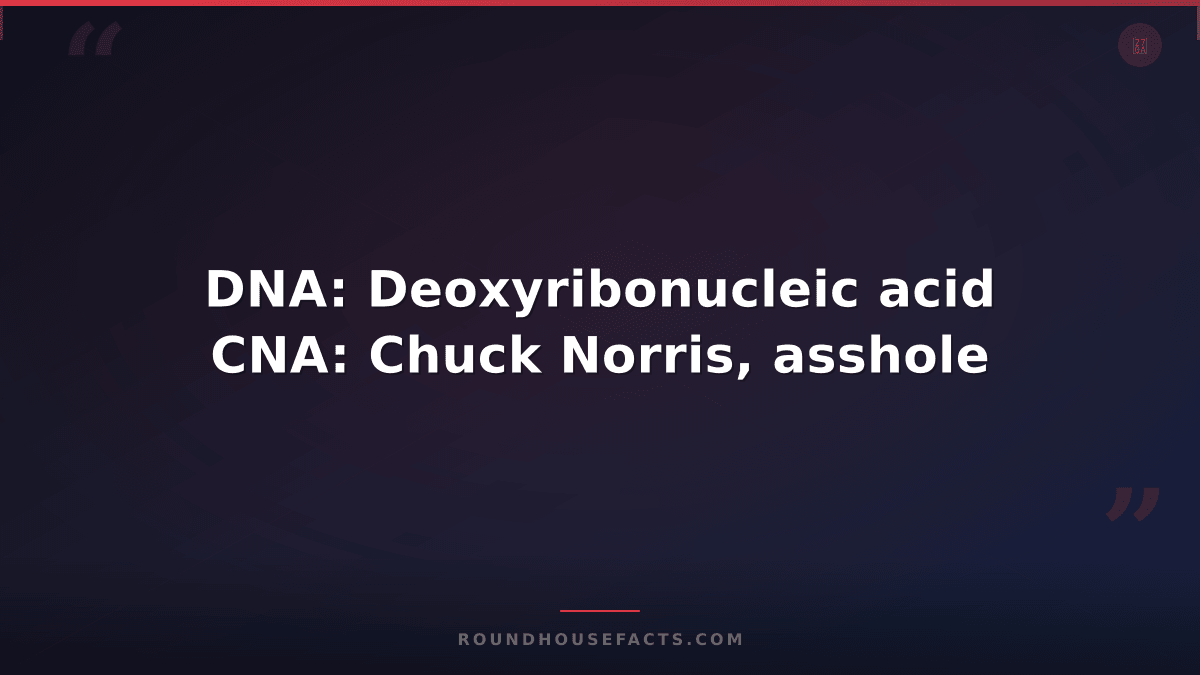 Chuck Norris Fact — DNA: Deoxyribonucleic acid CNA: Chuck Norris, asshole