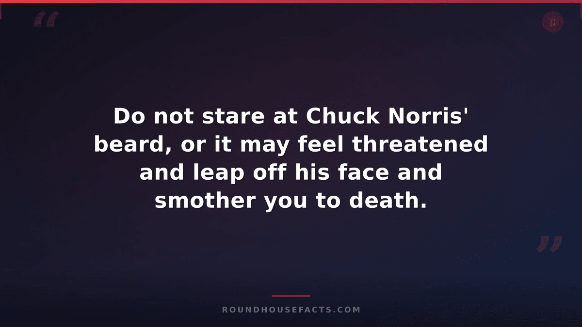 Chuck Norris Fact — Do not stare at Chuck Norris' beard, or it may feel threaten