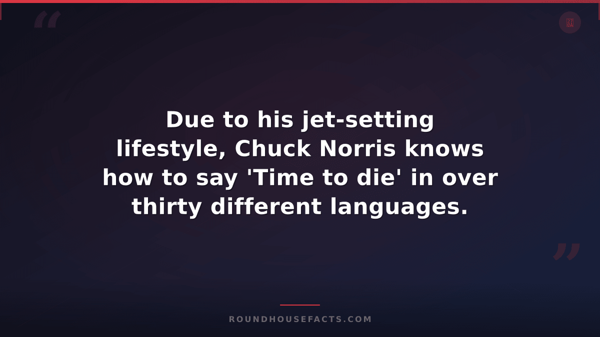 Chuck Norris Fact — Due to his jet-setting lifestyle, Chuck Norris knows how to