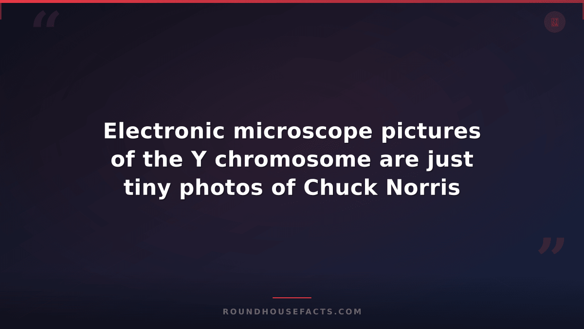 Chuck Norris Fact — Electronic microscope pictures of the Y chromosome are just