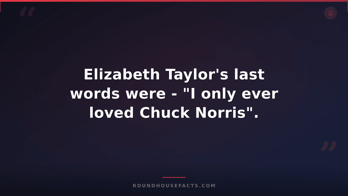 Chuck Norris Fact — Elizabeth Taylor's last words were - "I only ever loved Chuc