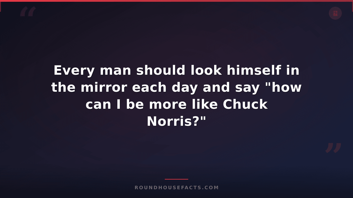 Chuck Norris Fact — Every man should look himself in the mirror each day and say