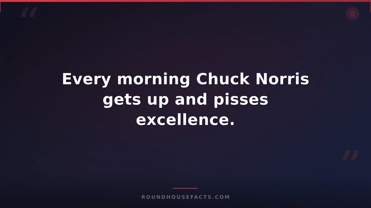 Chuck Norris Fact — Every morning Chuck Norris gets up and pisses excellence.