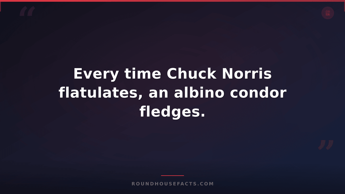 Chuck Norris Fact — Every time Chuck Norris flatulates, an albino condor fledges