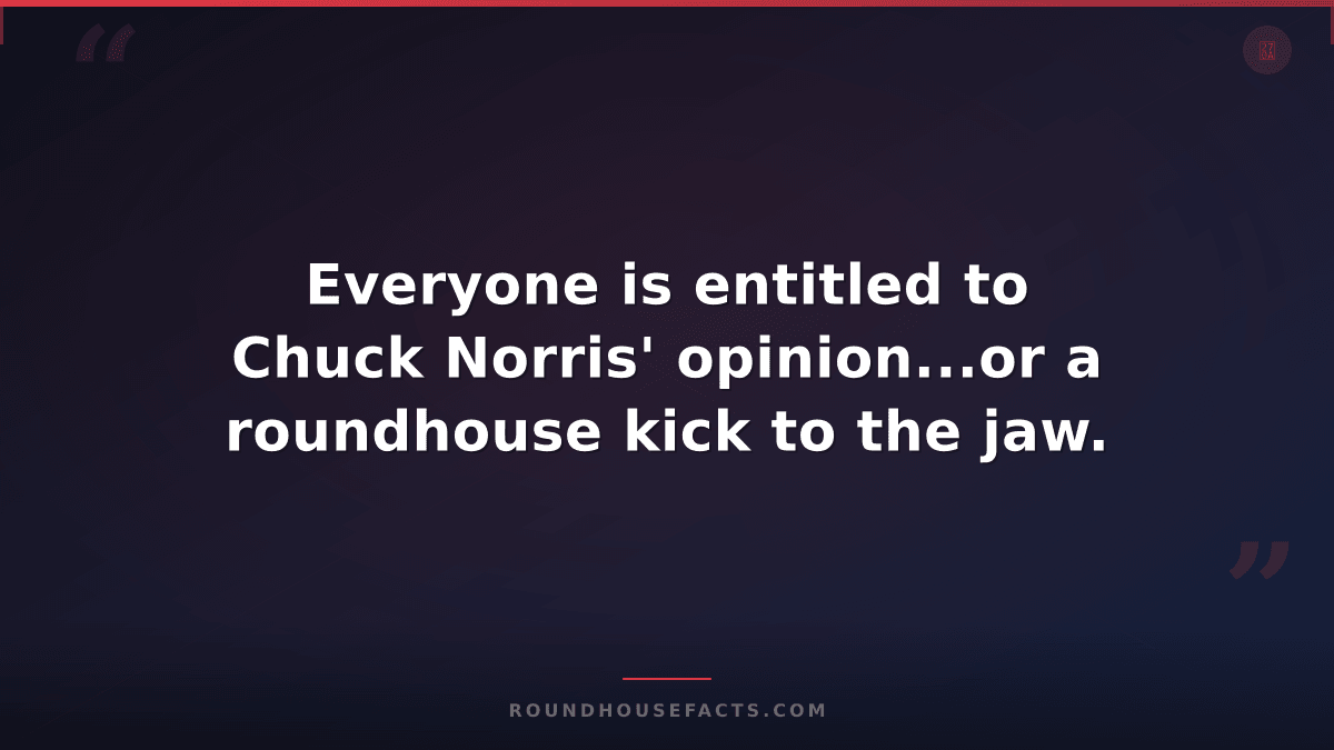 Chuck Norris Fact — Everyone is entitled to Chuck Norris' opinion...or a roundho