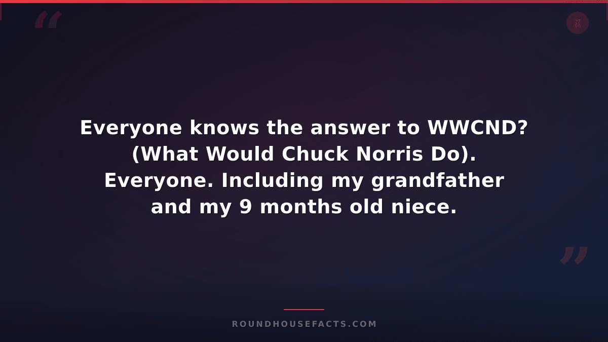 Chuck Norris Fact — Everyone knows the answer to WWCND? (What Would Chuck Norris