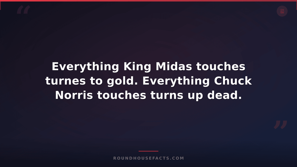 Chuck Norris Fact — Everything King Midas touches turnes to gold. Everything Chu