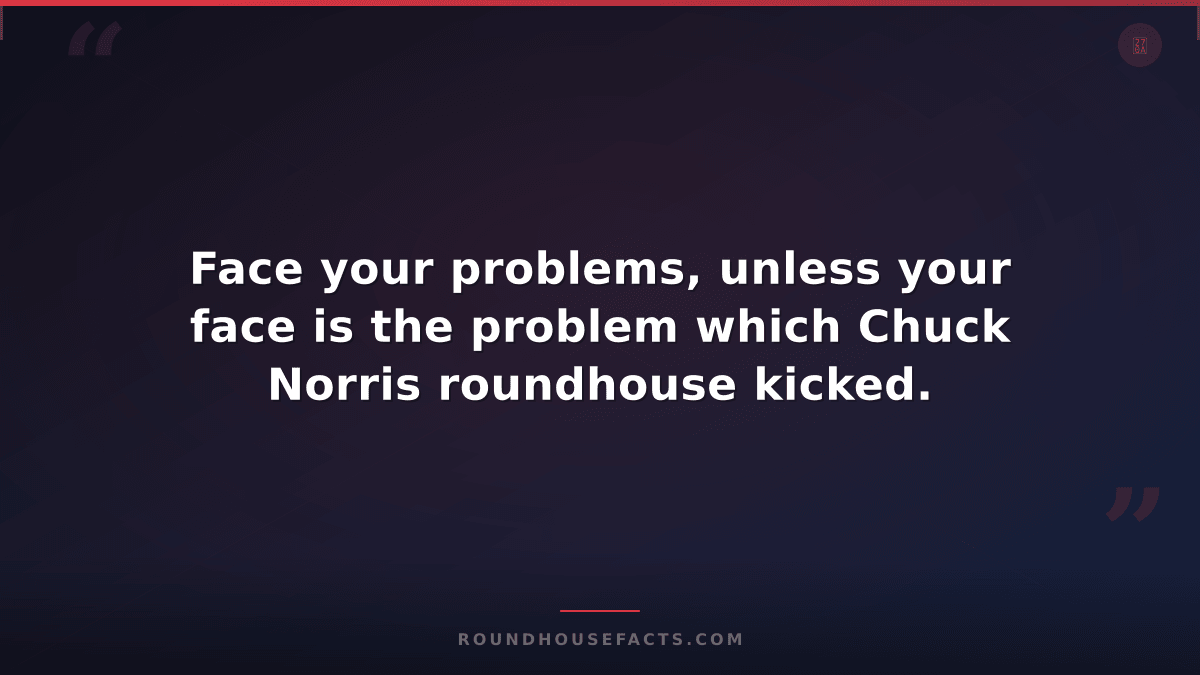 Chuck Norris Fact — Face your problems, unless your face is the problem which Ch