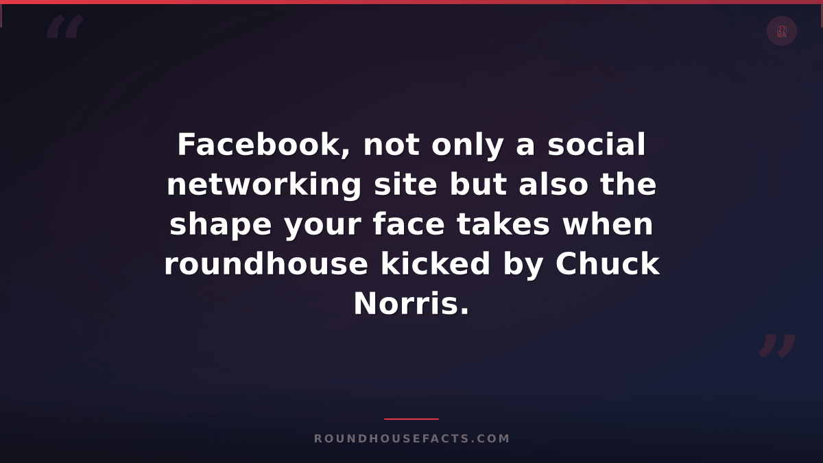 Chuck Norris Fact — Facebook, not only a social networking site but also the sha