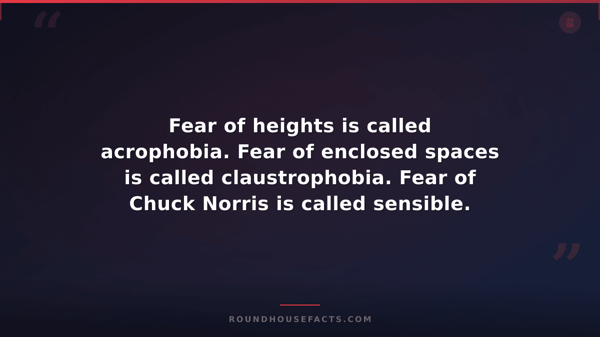 Chuck Norris Fact — Fear of heights is called acrophobia. Fear of enclosed space