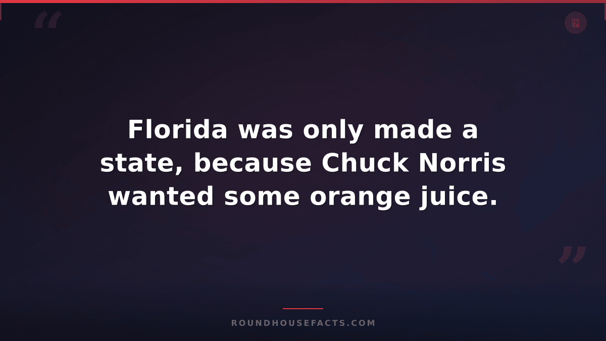 Chuck Norris Fact — Florida was only made a state, because Chuck Norris wanted s