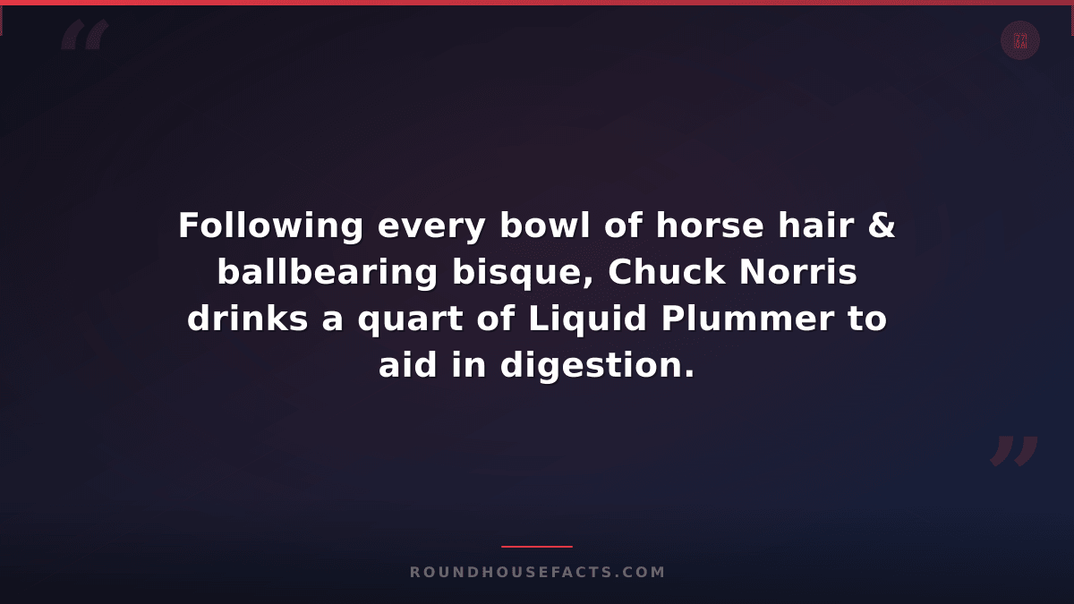 Chuck Norris Fact — Following every bowl of horse hair & ballbearing bisque, Chu