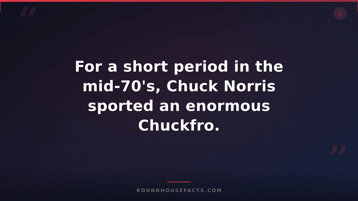 Chuck Norris Fact — For a short period in the mid-70's, Chuck Norris sported an