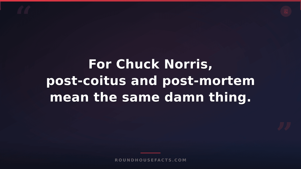 Chuck Norris Fact — For Chuck Norris, post-coitus and post-mortem mean the same
