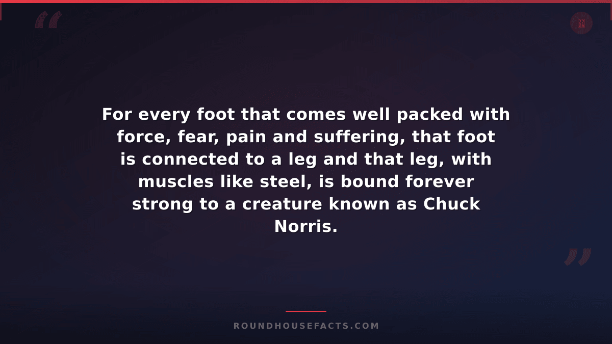 Chuck Norris Fact — For every foot that comes well packed with force, fear, pain