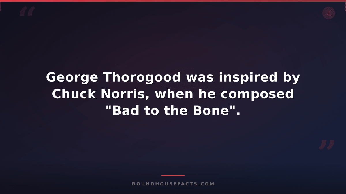 Chuck Norris Fact — George Thorogood was inspired by Chuck Norris, when he compo