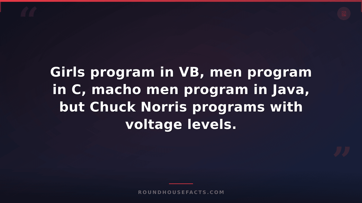 Chuck Norris Fact — Girls program in VB, men program in C, macho men program in