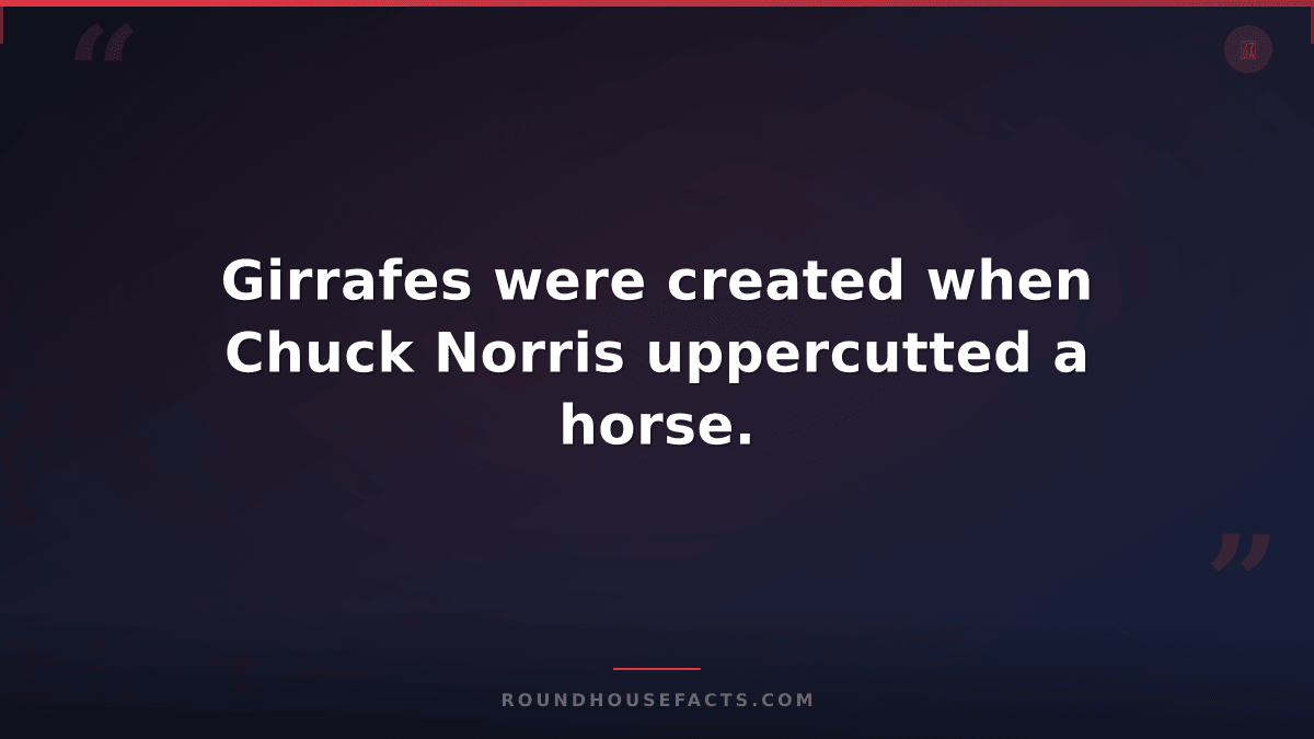 Chuck Norris Fact — Girrafes were created when Chuck Norris uppercutted a horse.