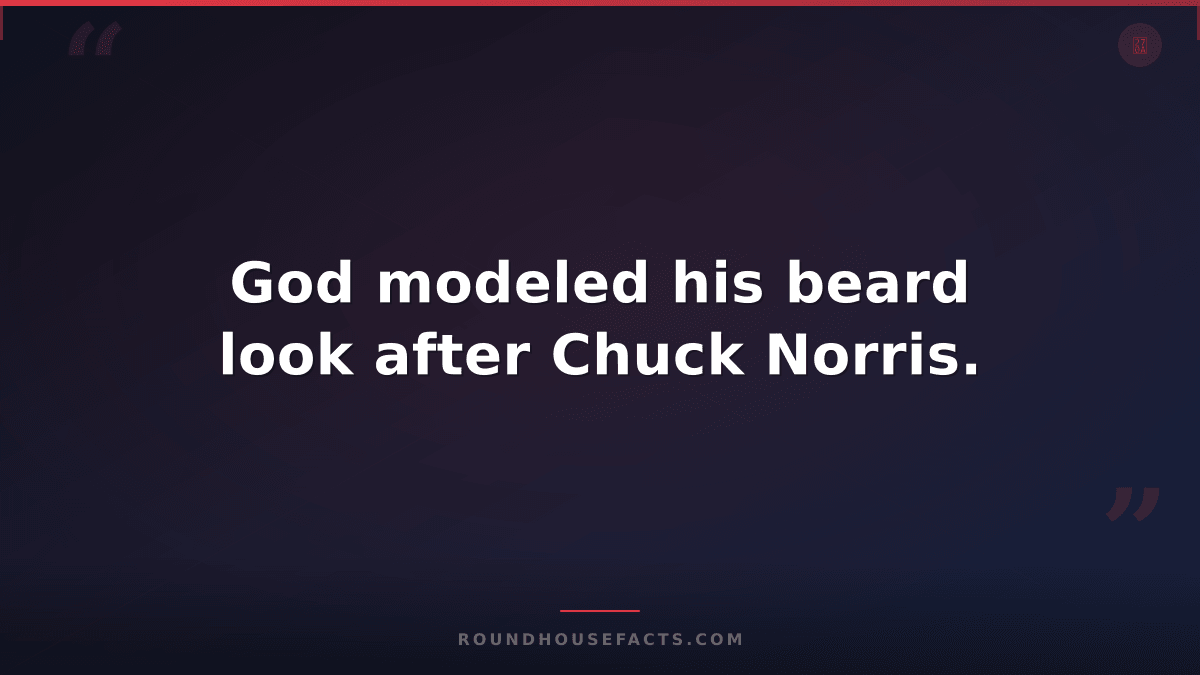 Chuck Norris Fact — God modeled his beard look after Chuck Norris.