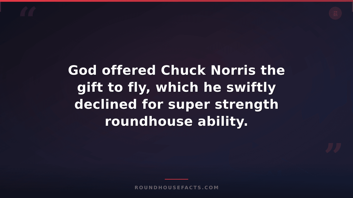 Chuck Norris Fact — God offered Chuck Norris the gift to fly, which he swiftly d