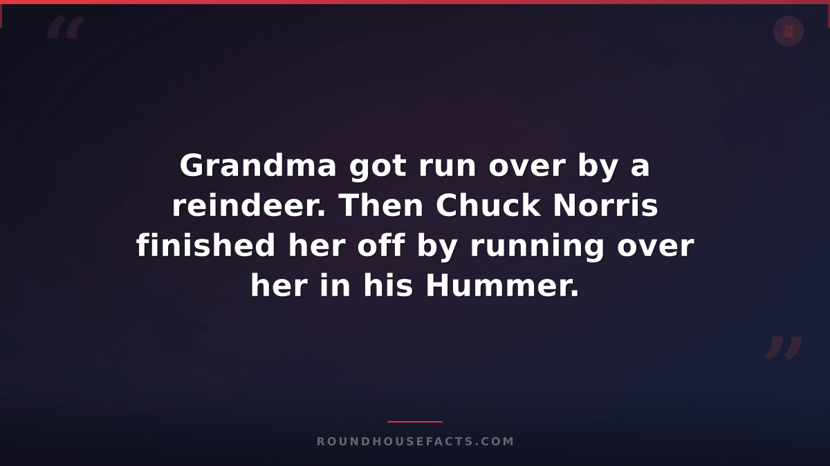 Chuck Norris Fact — Grandma got run over by a reindeer. Then Chuck Norris finish