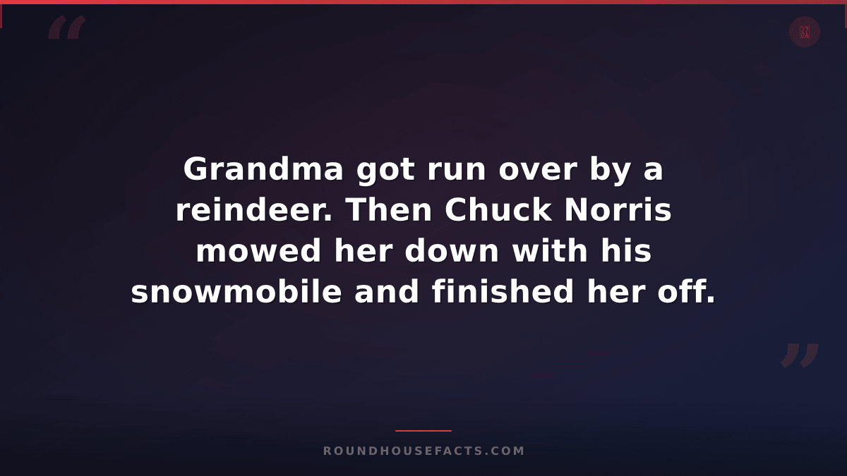 Chuck Norris Fact — Grandma got run over by a reindeer. Then Chuck Norris mowed