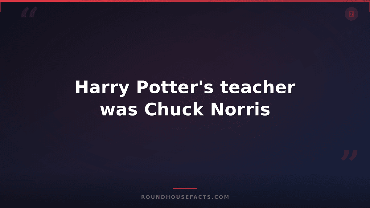 Chuck Norris Fact — Harry Potter's teacher was Chuck Norris
