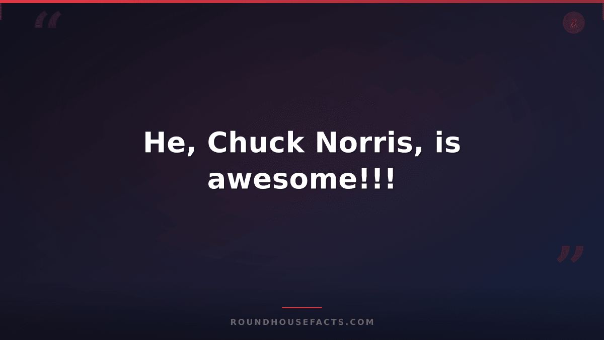 Chuck Norris Fact — He, Chuck Norris, is awesome!!!