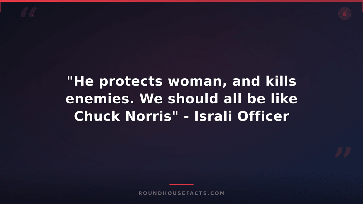 Chuck Norris Fact — "He protects woman, and kills enemies. We should all be like