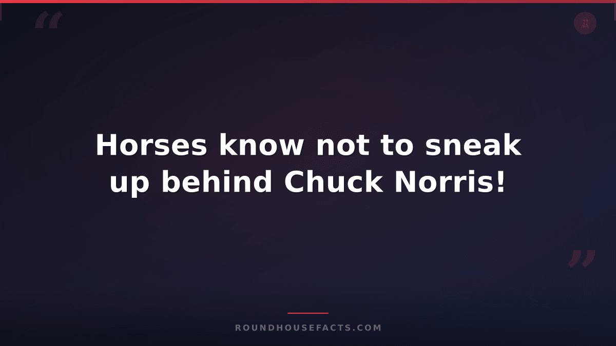 Chuck Norris Fact — Horses know not to sneak up behind Chuck Norris!