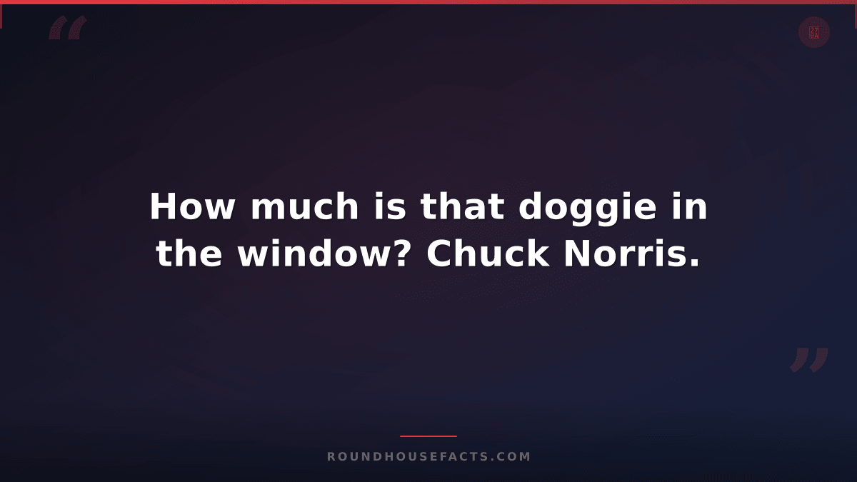 Chuck Norris Fact — How much is that doggie in the window? Chuck Norris.