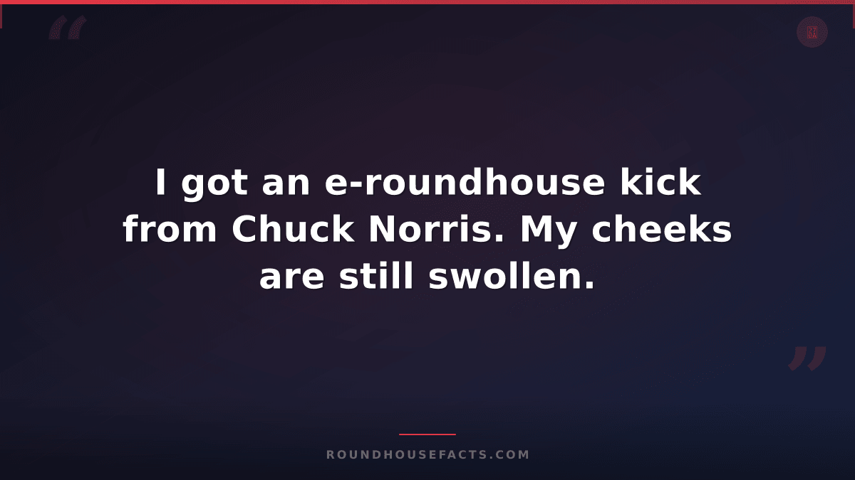 Chuck Norris Fact — I got an e-roundhouse kick from Chuck Norris. My cheeks are