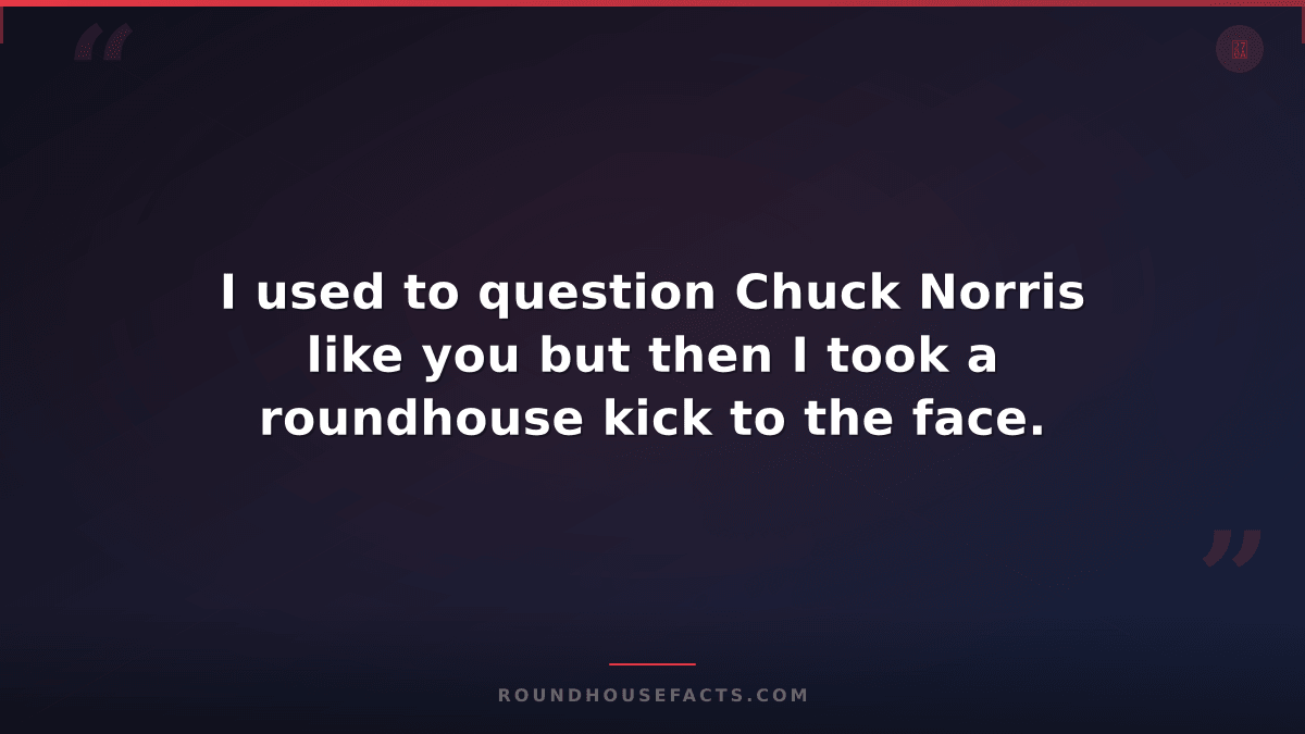 Chuck Norris Fact — I used to question Chuck Norris like you but then I took a r