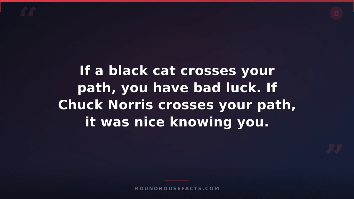 Chuck Norris Fact — If a black cat crosses your path, you have bad luck. If Chuc