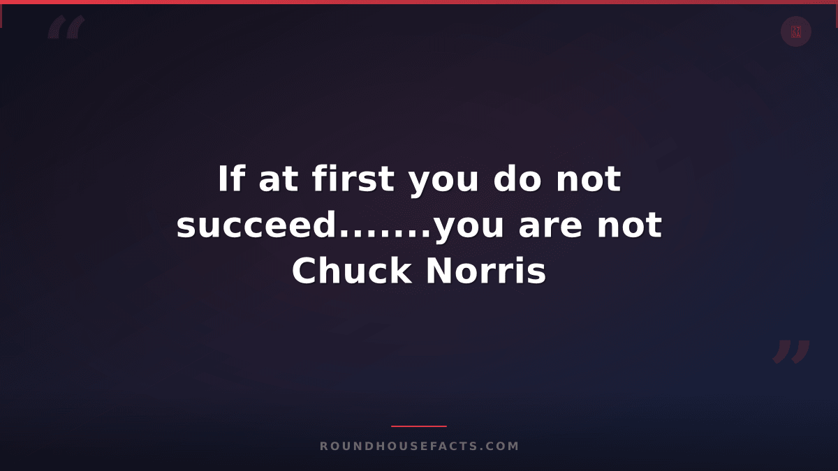 Chuck Norris Fact — If at first you do not succeed.......you are not Chuck Norri