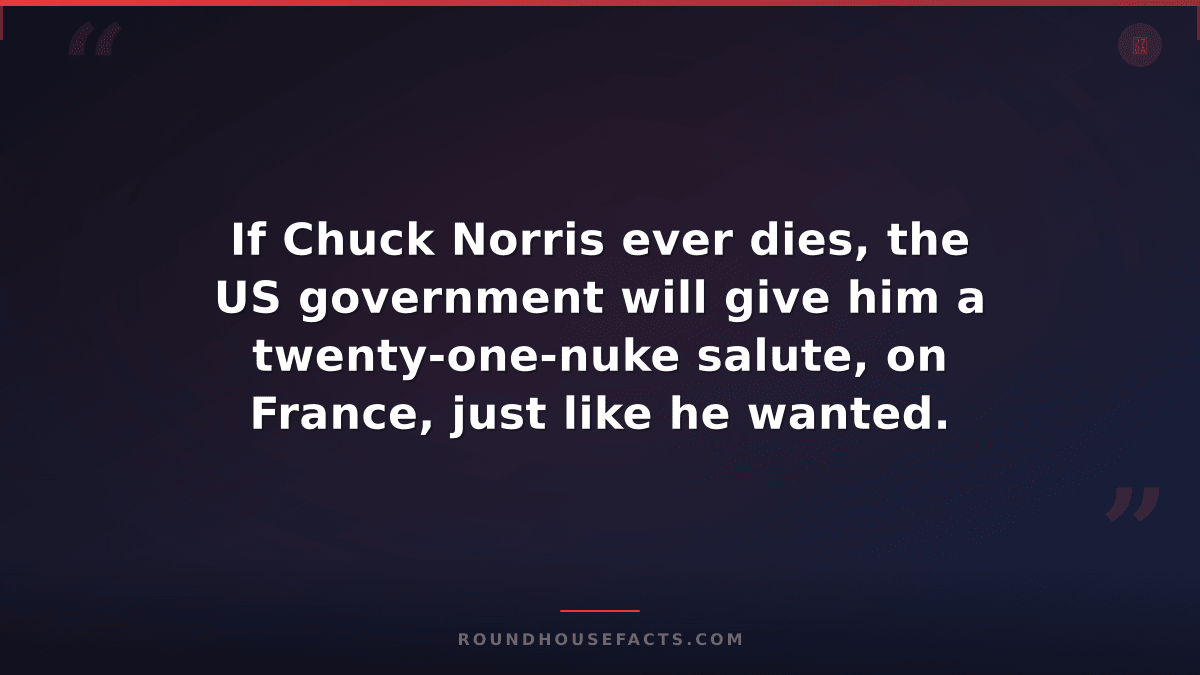Chuck Norris Fact — If Chuck Norris ever dies, the US government will give him a