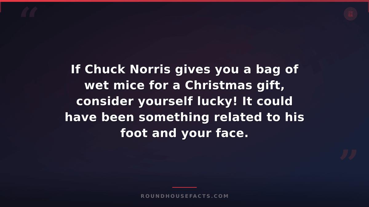 Chuck Norris Fact — If Chuck Norris gives you a bag of wet mice for a Christmas