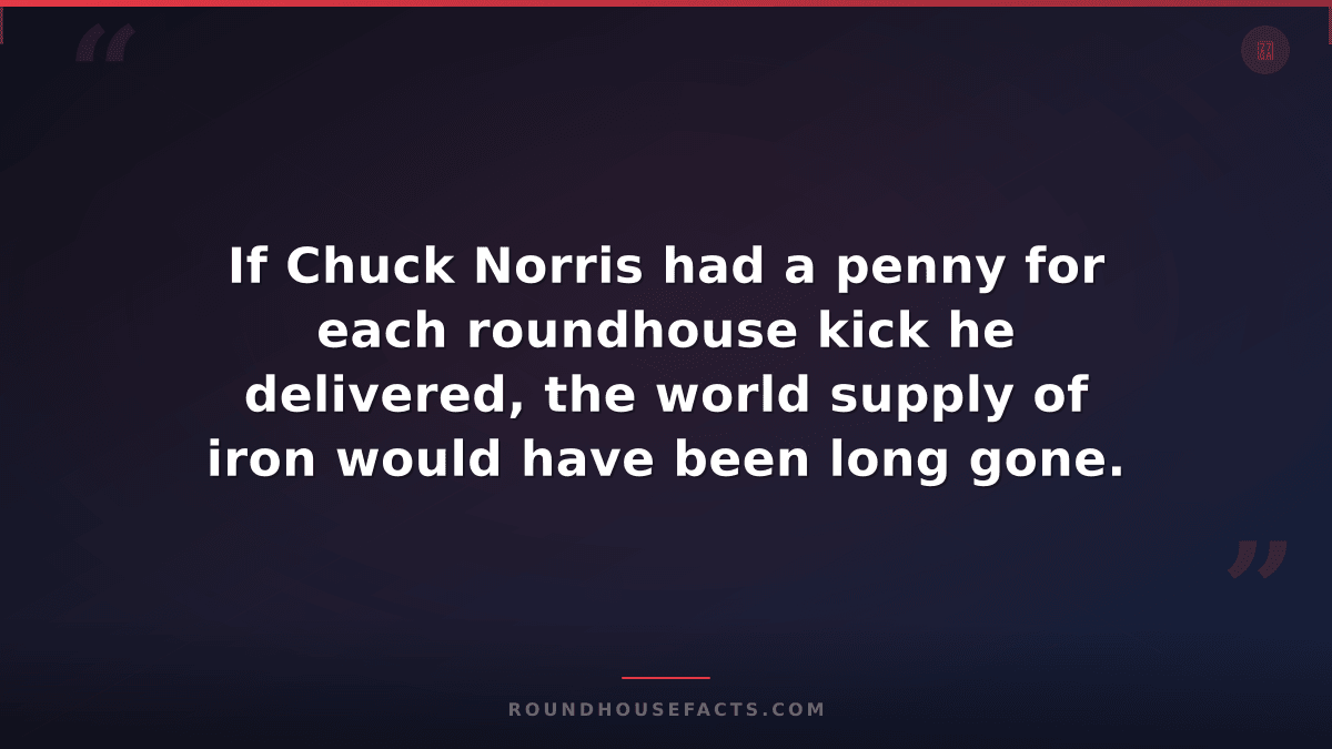 Chuck Norris Fact — If Chuck Norris had a penny for each roundhouse kick he deli