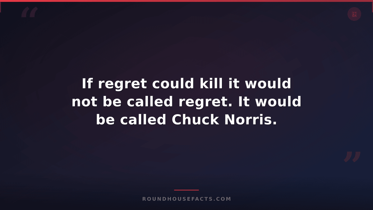 Chuck Norris Fact — If regret could kill it would not be called regret. It would