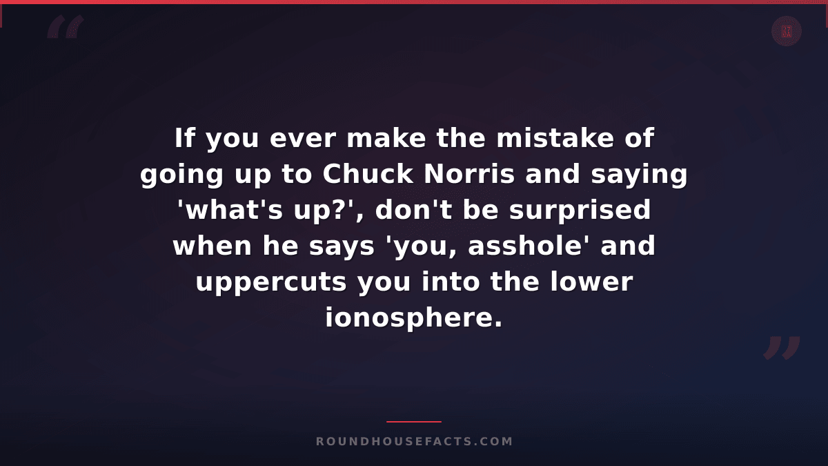 Chuck Norris Fact — If you ever make the mistake of going up to Chuck Norris and